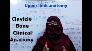 Clinical anatomy of clavicle bone  upper limb anatomy bd churasia [upl. by Rebmeced]