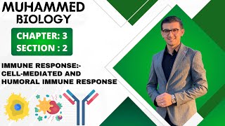 Chapter3 Section2 Immune response stepsCellMediated Immune amp Humoral immune responseبەندی٣کەرتی ٢ [upl. by Arekat]