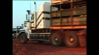 Cattle Lift at VRD [upl. by Semadar]