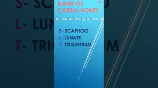 NAME OF CARPAL BONES  ANATOMY amp PHYSIOLOGY  SKELETAL SYSTEM  RITU MAAM [upl. by Enilaf625]