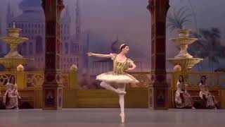 LE CORSAIRE  Odalisque Variation 1 Ana Turazashvili  Bolshoi Ballet [upl. by Nilo561]