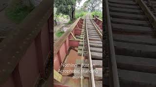 Acrophobia Fear of heights phobia acrophobia vocabulary railbridge memesdaily viralshorts [upl. by Ingrid260]