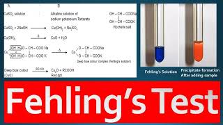 Fehlings Test Principle Procedure and Reagent Preparation [upl. by Mauve136]