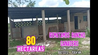 REMATAMOS 80 HECTAREAS EN BUCTZOTZ YUCATAN [upl. by Seuqramed]