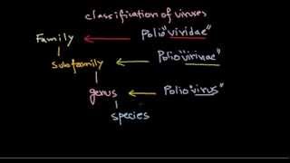 2 Classification of viruses [upl. by Pen]