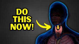 How to Stop Snoring Naturally and Permanently [upl. by Mount475]