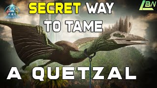 SECRET Way To Tame A Quetzal  Ark Survival Ascended [upl. by Aleakcim]