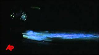 Raw Video Tsunami Waves Reach Hawaii [upl. by Sualocin378]