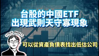 【總編日報】台股的中國ETF出現武則天守寡現象 其實可以從資產負債表找出低估公司 2024107 [upl. by Burwell]