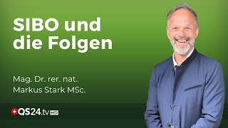 Die Konsequenzen einer gestörten Dünndarmflora  Mag Dr rer nat Markus Stark MSc  QS24 [upl. by Chaffin]