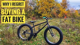 Why i Regret Buying a Fat Bike [upl. by Scherle]