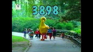 Sesame Street  Episode 3898 2000 Big Bird forms a rock band called the Alphatones [upl. by Atnek343]