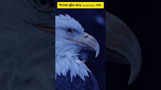 🦅 Eagle intelligence will surprise you 😱 wise eagle shorts intelligent eagles [upl. by Neraj]