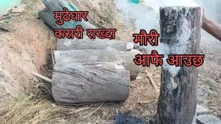 मुढेघार कसरी राख्दा मौरी आफै आउछ। how to beehive keeping bee beehive InfoTulmagar [upl. by Ermin]