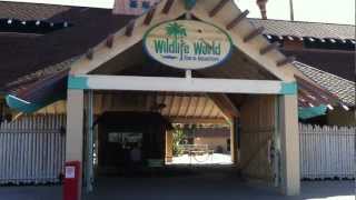 Wildlife World Zoo in Litchfield Park Arizona [upl. by Bobina]