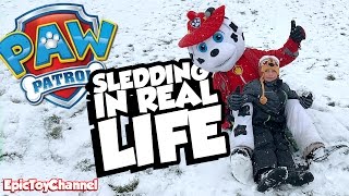 PAW PATROL Sledding In Real Life Marshall IRL  New Paw Patrol Beanies and Family Fun in the Snow [upl. by Gabby]