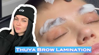 Thuya Brow Lamination steps [upl. by Nowed]