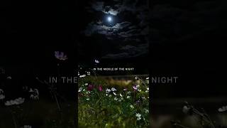 Middle of the night  Elley Duhe  aestheticstatus shorts viral trending ytshorts short yt [upl. by Gerstner61]