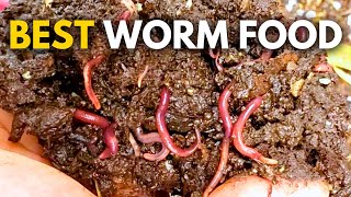 What to Feed Worms Vermicompost Made EASY [upl. by Billen]