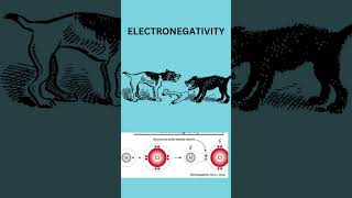 ELECTRONEGATIVITY IN SIMPLE LANGUAGE believe it best explainervideo chemistry subscribe dogs [upl. by Noakes769]