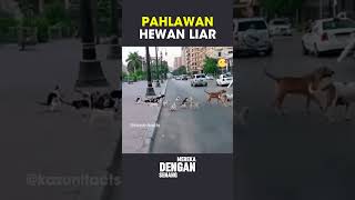 Pahlawan Hewan Liar shorts [upl. by Pepita]