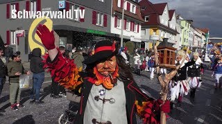 🥳🎉 Großer Umzug Buurefasnacht 2019 Weil am Rhein  Livestream mit Interviews 80 Min 10032019 [upl. by Namrehs]