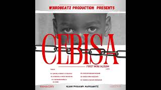 Cebisa Mini Album Produced by W3irdbeatz album afropop trapmusic trendingformusic visualizer [upl. by Kulseth]