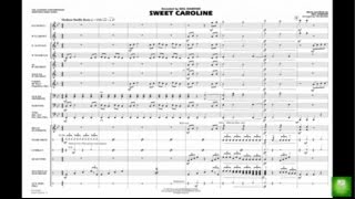 Sweet Caroline by Neil Diamondarr Tim Waters [upl. by Nels]