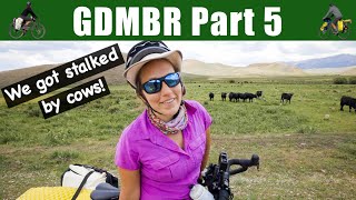 GREAT DIVIDE MOUNTAIN BIKE ROUTE  Butte to Lima Montana  Fleecer Ridge PART 5 [upl. by Atikahc]