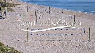 Live  Sport Camera  Deerfield Beach Florida USA [upl. by Tillford993]