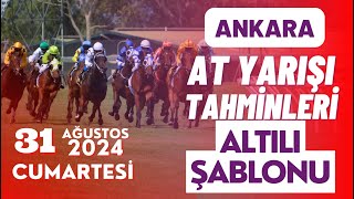 31 Ağustos 2024 Cumartesi ANKARA At Yarışı Tahminleri [upl. by Ahswat]