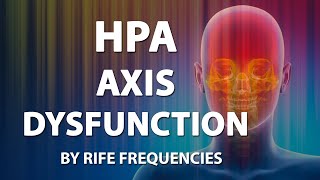 HPA Axis Dysfunction  RIFE Healing Frequencies Treatment  Frequency Energy amp Quantum Bioresonance [upl. by Juliette]