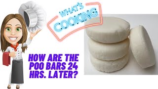 How are the solid syndet shampoo bars doing 24 hrs later [upl. by Akin]