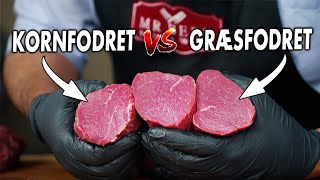 Vi Tester Forskellen På Græsfodret vs Kornfodret Oksemørbrads [upl. by Einafets443]