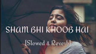 Shaam Bhi Khoob Hai lofi song Karz  Udit Narayan  Slowed  Reverb  RitikAUDIOS cblofistudio [upl. by Elboa384]