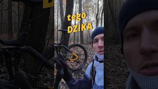 Recenzja  Rower Elektryczny HAIBIKE NDURO 6 [upl. by Adelia]