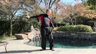 DRAGON TAIL QI GONG EXERCISE FOR BALANCE davidmitchell6972 [upl. by Rudolfo]