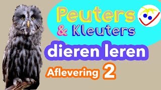 Dierennamen  Eerste Woordjes  Dieren Leren Aflevering 2 Peuters en Kleuters [upl. by Wagner997]