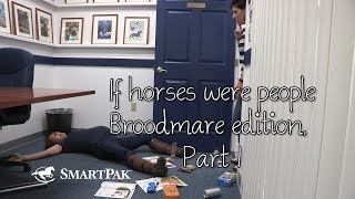 If horses were people  Broodmare edition Part 1 [upl. by Vick686]