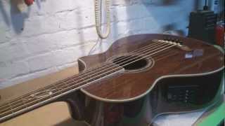 Ibanez 5 String Acoustic Bass Guitar [upl. by Riccardo]