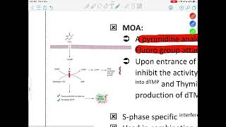 PHARMACOLOGY  LEC6  ANTINEOPLASTIC AGENTS 2  Mohammad A Itradat [upl. by Osher998]