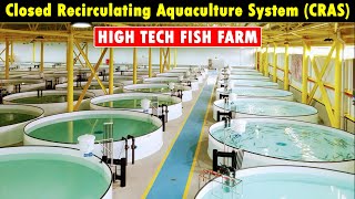 Closed Recirculating Aquaculture System CRAS  RAS Fish Farming  Modern Fish Farming Technology [upl. by Stesha]