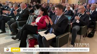 DOC Delle Venezie a Udine un nuovo congresso per guardare al futuro del Pinot Grigio [upl. by Brigid813]