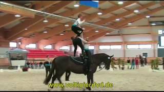 CVI Ermelo 2014 Seniorteams 06 English Vaulting Squad GBR [upl. by Lehpar]