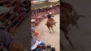 Qué buena monta de Tecatito de Hidalgo vs toro el Barrabás 👏🤠 jaripeo extremo [upl. by Llerdnek]