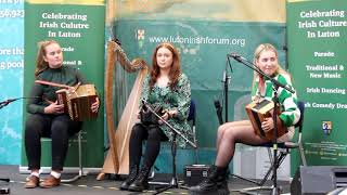 St Patricks Day Festival 2023  Galway  Sligo Trad Group [upl. by Aratahs366]