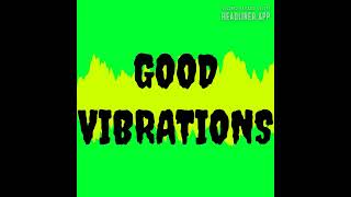 GOOD VIBRATIONS SONG BY MaRKY MARK amp THE FUNKY BUNCH [upl. by Yleme]