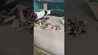 sunflower seeds sunflowerseeds happy sleepy plantita goodvibes office viral viralvideo [upl. by Ainehs525]