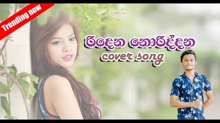 Ridena Noriddana  රිදෙන නොරිද්දන Cover song SankaDinethOfficial [upl. by Neveda513]