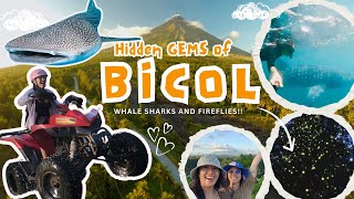 Bicol Vlog I Legazpi amp Donsol The Philippines You Never Knew Existed [upl. by Annunciata543]